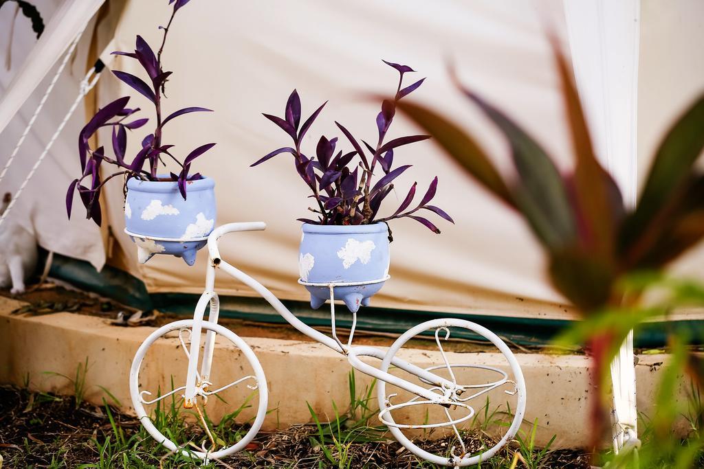 Harmony Glamping Boutique Hotel And Yoga تولوم الغرفة الصورة