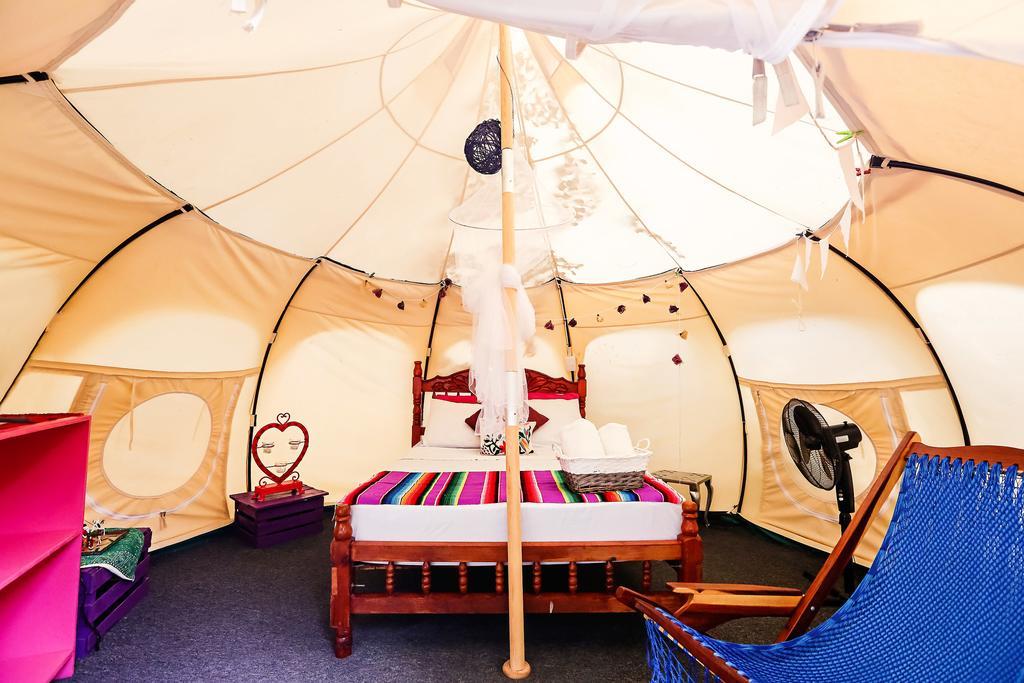 Harmony Glamping Boutique Hotel And Yoga تولوم الغرفة الصورة