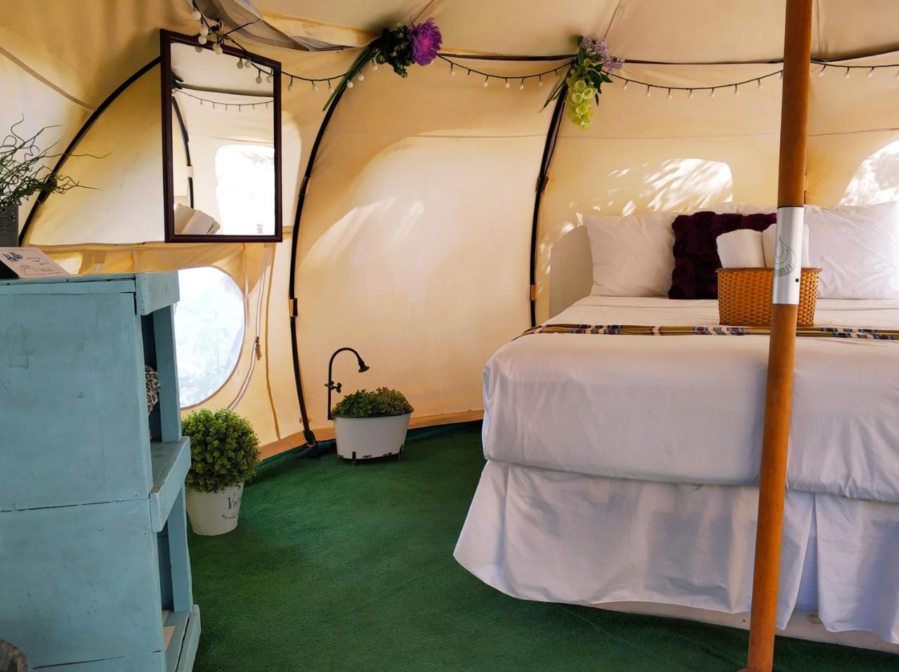 Harmony Glamping Boutique Hotel And Yoga تولوم المظهر الخارجي الصورة